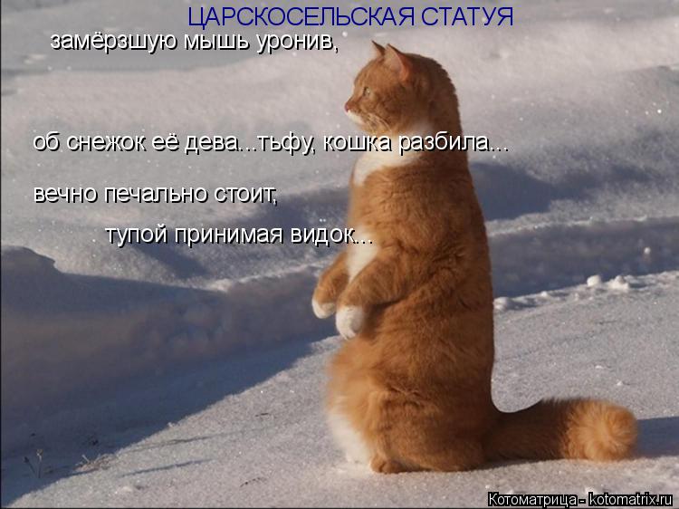 замёрзшую мышь уронив, об снежок её дева...тьфу, кошка разбила... вечно печально стоит, тупой приним... Котоматрица: замёрзшую мышь уронив, об снежок её дева...тьфу, кошка разбила... вечно печально стоит, тупой принимая видок... ЦАРСКОСЕЛЬСКАЯ СТАТУЯ