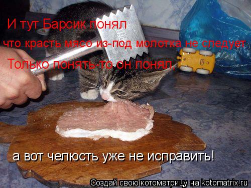 Котоматрица: И тут Барсик понял  что красть мясо из-под молотка не следует Только понять-то он понял, а вот челюсть уже не исправить!