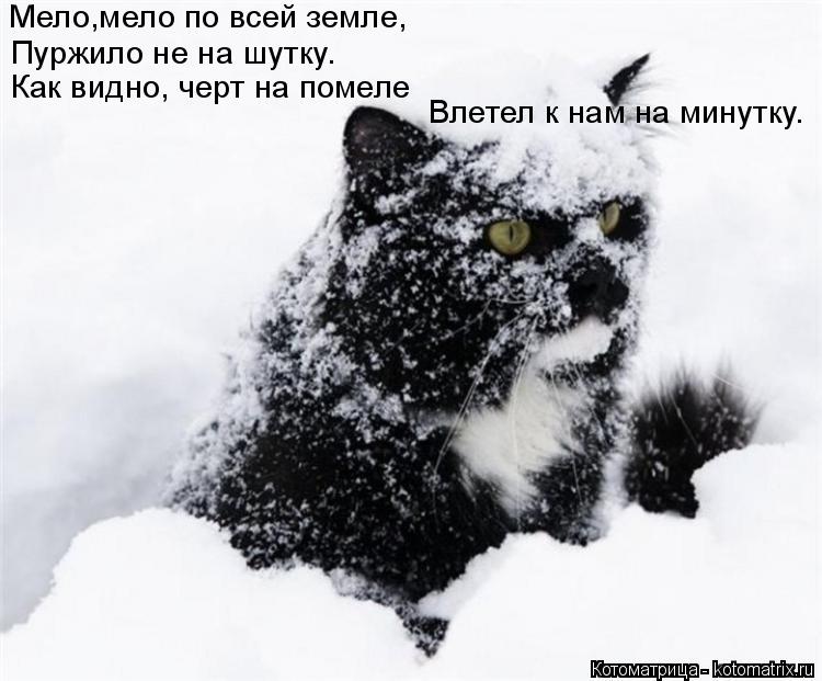 Котоматрица: Мело,мело по всей земле, Пуржило не на шутку. Как видно, черт на помеле Влетел к нам на минутку.