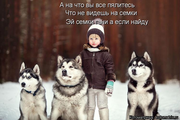 Котоматрица: А на что вы все пялитесь Что не видешь на семки Эй семки гани а если найду Эй семки гани а если найду