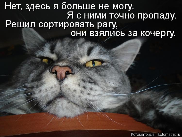Котоматрица: Нет, здесь я больше не могу. Я с ними точно пропаду. Решил сортировать рагу, они взялись за кочергу.