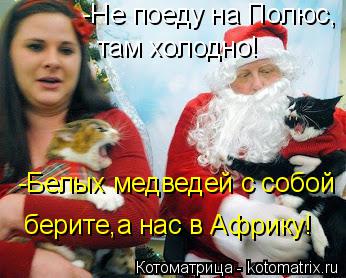 -Не поеду на Полюс, там холодно! -Белых медведей с собой берите,а нас в Африку!... Котоматрица: -Не поеду на Полюс, там холодно! -Белых медведей с собой берите,а нас в Африку!
