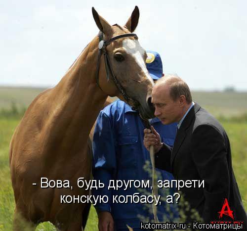 Котоматрица: - Вова, будь другом, запрети конскую колбасу, а?