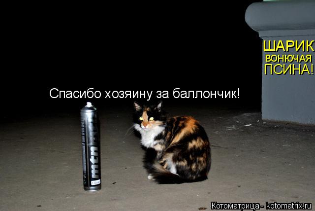 ШАРИК ВОНЮЧАЯ ПСИНА! Спасибо хозяину за баллончик!... Котоматрица: ШАРИК ВОНЮЧАЯ ПСИНА! Спасибо хозяину за баллончик!
