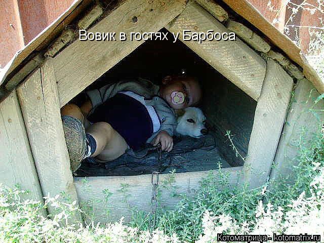 Котоматрица: Вовик в гостях у Барбоса