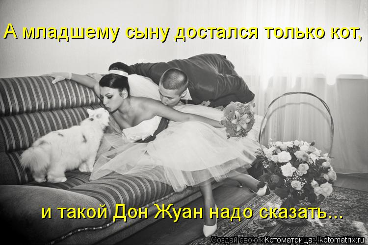 и такой Дон Жуан надо сказать... А младшему сыну достался только кот,... Котоматрица: и такой Дон Жуан надо сказать... А младшему сыну достался только кот,