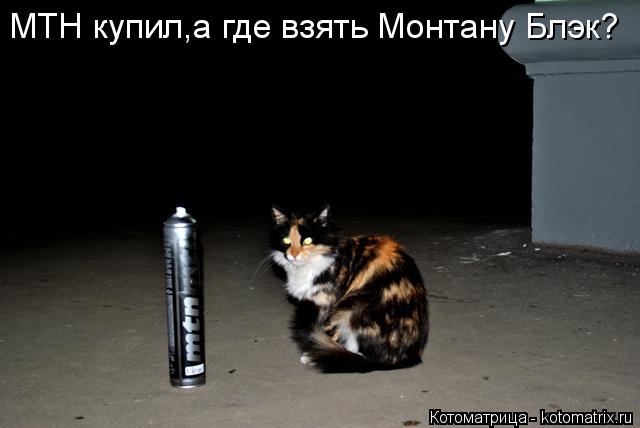 Котоматрица: МТН купил,а где взять Монтану Блэк?