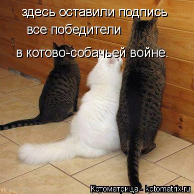 здесь оставили подпись все победители в котово-собачьей войне.... Котоматрица: здесь оставили подпись все победители в котово-собачьей войне.