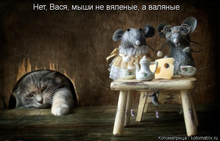 Котоматрица: Нет, Вася, мыши не вяленые, а валяные