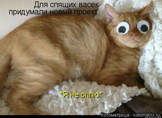 Котоматрица: Для спящих васек  придумали новый проект *Я не сплю*