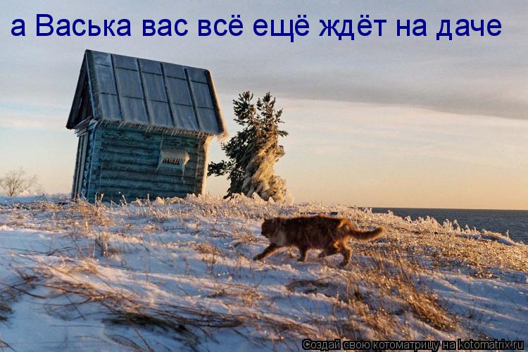 а Васька вас всё ещё ждёт на даче... Котоматрица: а Васька вас всё ещё ждёт на даче