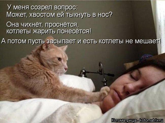 Котоматрица: У меня созрел вопрос: Может, хвостом ей тыкнуть в нос? Она чихнёт, проснётся, котлеты жарить понесётся! А потом пусть засыпает и есть котлеты 