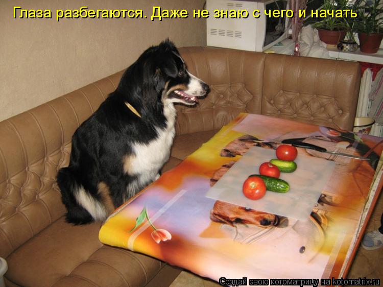 Котоматрица: Глаза разбегаются. Даже не знаю с чего и начать