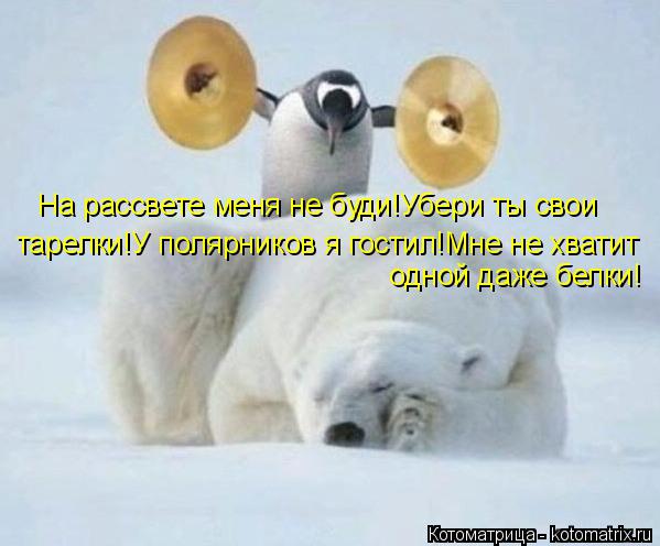 На рассвете меня не буди!Убери ты свои тарелки!У полярников я гостил!Мне не хватит одной даже белки!... Котоматрица: На рассвете меня не буди!Убери ты свои тарелки!У полярников я гостил!Мне не хватит одной даже белки!