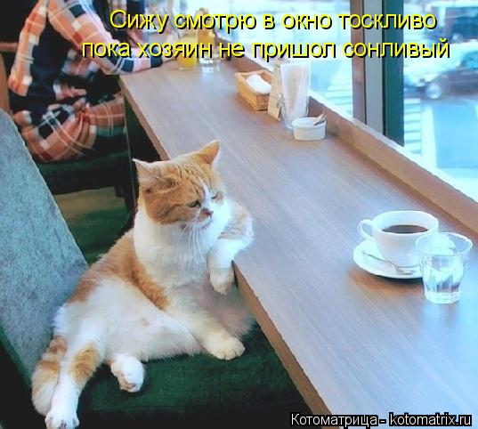 Котоматрица: Сижу смотрю в окно тоскливо Сижу смотрю в окно тоскливо пока хозяин не пришло сонливый пока хозяин не пришол сонливый пока хозяин не пришол