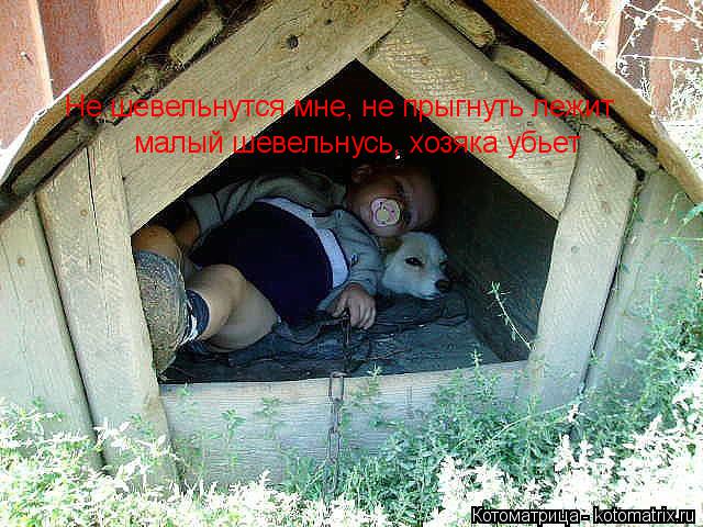 Котоматрица: Не шевельнутся мне, не прыгнуть лежит малый шевельнусь, хозяка убьет