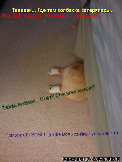 Котоматрица: Тааааак... Где там колбаска затерялась...  Ага,вот нашёл! Ням-ням... Вкусно! Теперь вылезаю... О нет!!! Стол меня прижал!!!  Спасите!!! SOS!!! Помогите!!! 