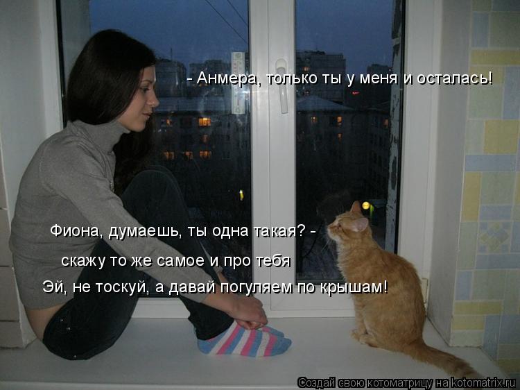- Анмера, только ты у меня и осталась! Фиона, думаешь, ты одна такая? - скажу то же самое и про тебя ... Котоматрица: - Анмера, только ты у меня и осталась! Фиона, думаешь, ты одна такая? - скажу то же самое и про тебя Эй, не тоскуй, а давай погуляем по крышам!