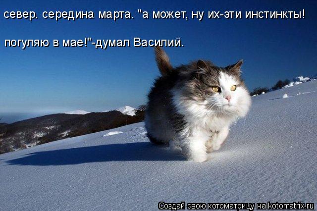 погуляю в мае!"-думал Василий. север. середина марта. "а может, ну их-эти инстинкты!... Котоматрица: погуляю в мае!"-думал Василий. север. середина марта. "а может, ну их-эти инстинкты!
