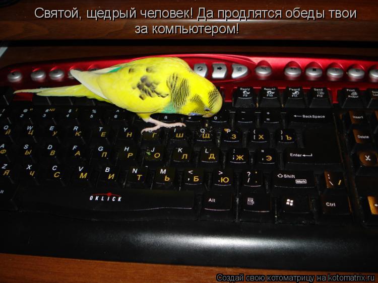 Святой, щедрый человек! Да продлятся обеды твои за компьютером!... Котоматрица: Святой, щедрый человек! Да продлятся обеды твои за компьютером!