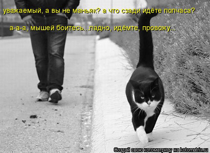 уважаемый, а вы не маньяк? а что сзади идёте полчаса? а-а-а, мышей боитесь...ладно, идёмте, провожу..... Котоматрица: уважаемый, а вы не маньяк? а что сзади идёте полчаса? а-а-а, мышей боитесь...ладно, идёмте, провожу...