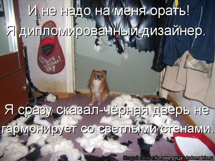 Котоматрица: И не надо на меня орать! Я дипломированный дизайнер. Я сразу сказал-чёрная дверь не гармонирует со светлыми стенами.