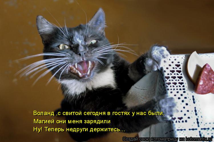 Котоматрица: Воланд ,с свитой сегодня в гостях у нас были. Магией они меня зарядили Ну! Теперь недруги держитесь...