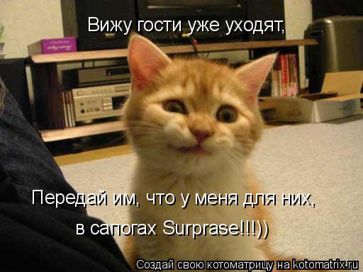 Котоматрица: Вижу гости уже уходят, Передай им, что у меня для них, в сапогах Surprase!!!))