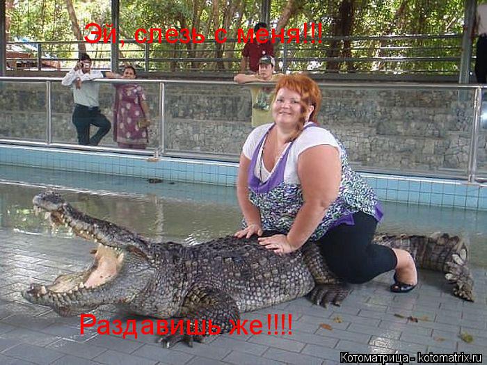 Котоматрица: Эй, слезь с меня!!! Раздавишь же!!!!
