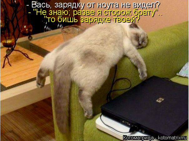 Котоматрица: - Вась, зарядку от ноута не видел? "то бишь зарядке твоей? - "Не знаю; разве я сторож брату"..