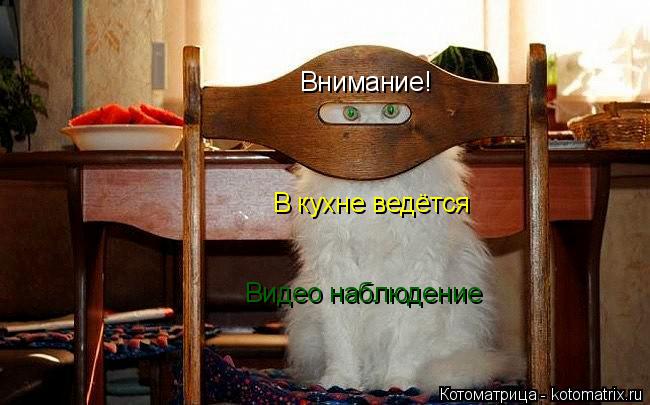 Котоматрица: В кухне ведётся Видео наблюдение Видео наблюдени Внимание!