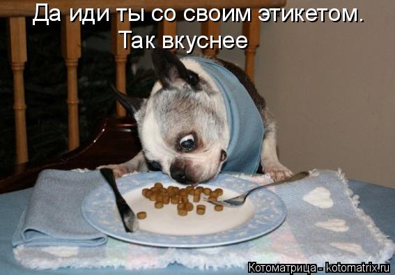 Котоматрица: Да иди ты со своим этикетом. Так вкуснее