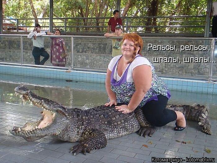 Рельсы, рельсы, шпалы, шпалы...... Котоматрица: Рельсы, рельсы, шпалы, шпалы...