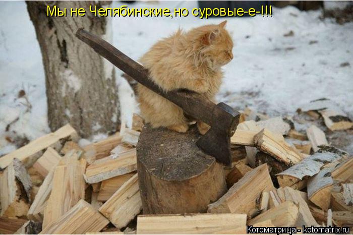 Котоматрица: Мы не Челябинские,но суровые-е-!!!