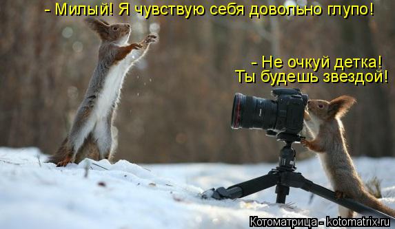 Котоматрица: - Милый! Я чувствую себя довольно глупо! - Не очкуй детка!  Ты будешь звездой!
