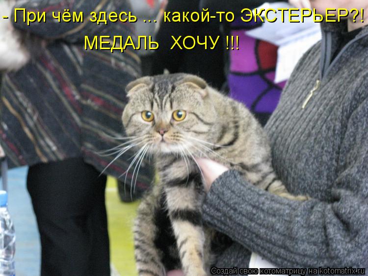 - При чём здесь ... какой-то ЭКСТЕРЬЕР?! МЕДАЛЬ ХОЧУ !!!... Котоматрица: - При чём здесь ... какой-то ЭКСТЕРЬЕР?! МЕДАЛЬ ХОЧУ !!!