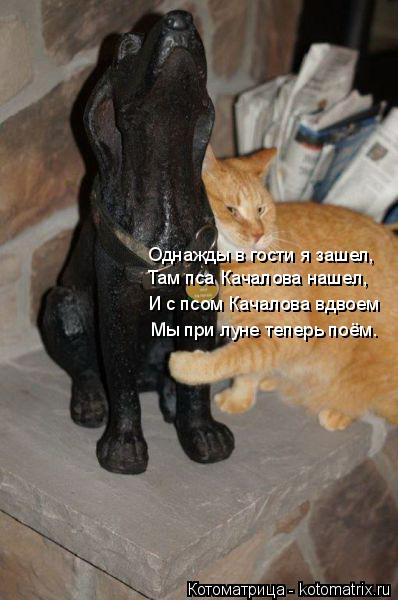 Котоматрица: Однажды в гости я зашел, Там пса Качалова нашел, И с псом Качалова вдвоем Мы при луне теперь поём.