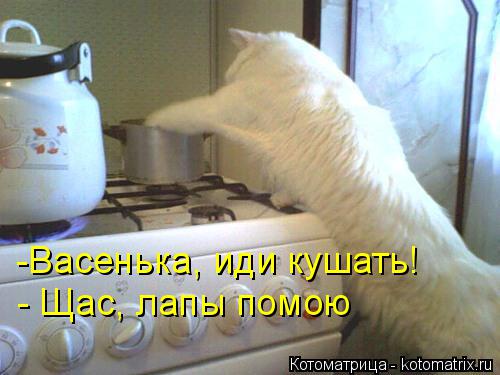 Котоматрица: -Васенька, иди кушать! - Щас, лапы помою