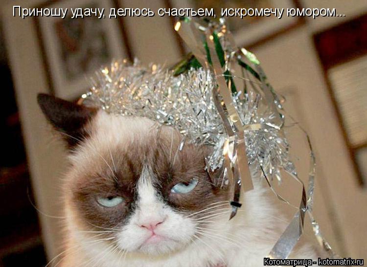 Приношу удачу, делюсь счастьем, искромечу юмором...... Котоматрица: Приношу удачу, делюсь счастьем, искромечу юмором...