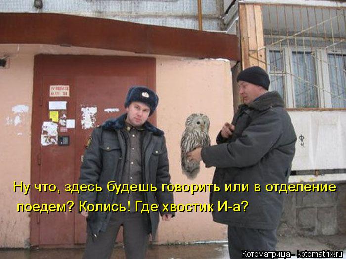 Котоматрица: Ну что, здесь будешь говорить или в отделение поедем? Колись! Где хвостик И-а?