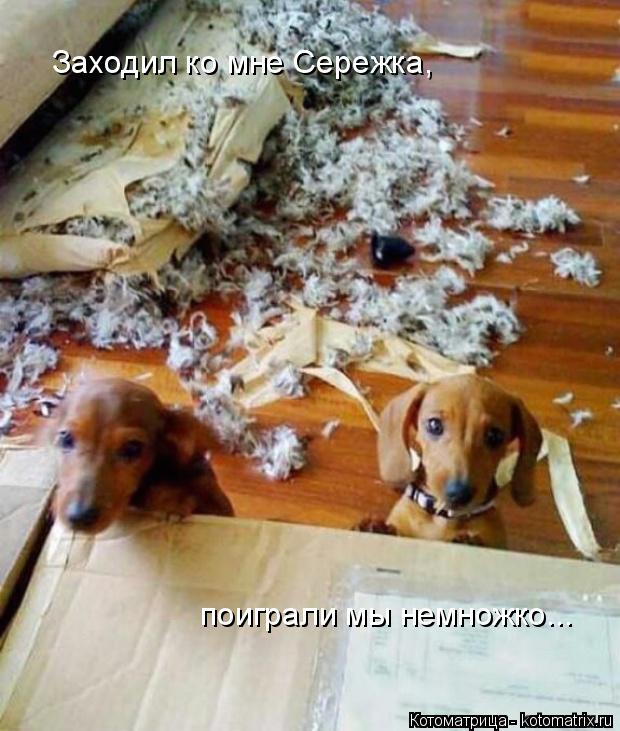 Котоматрица: Заходил ко мне Сережка, поиграли мы немножко...