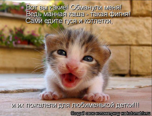 Котоматрица: Вот вы какие! Обманули меня! Ведь манная каша - такая фигня! Сами едите гуся и котлетки,  и их пожалели для любименькой детки!!!