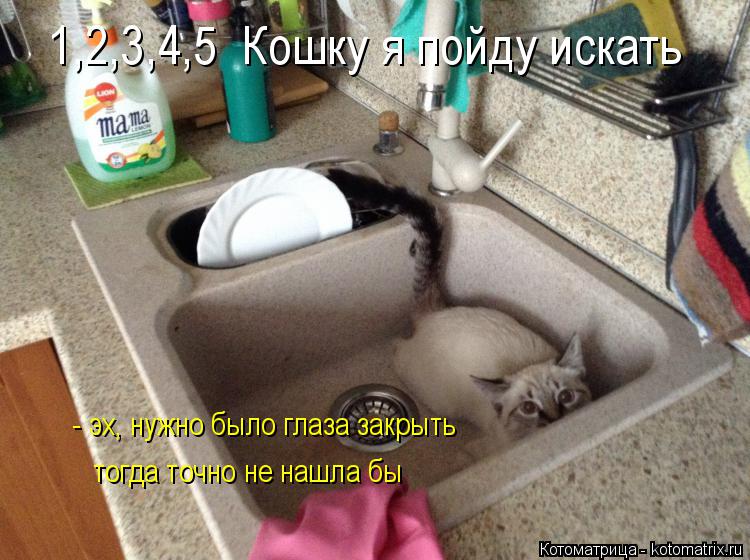 Котоматрица: 1,2,3,4,5  Кошку я пойду искать - эх, нужно было глаза закрыть тогда точно не нашла бы