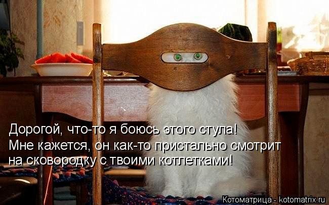 Котоматрица: Дорогой, что-то я боюсь этого стула! Мне кажется, он как-то пристально смотрит на сковородку с твоими котлетками!