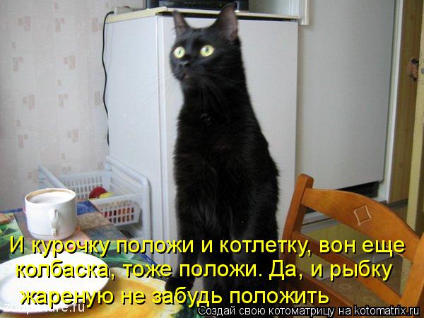Котоматрица: И курочку положи и котлетку, вон еще колбаска, тоже положи. Да, и рыбку   жареную не забудь положить
