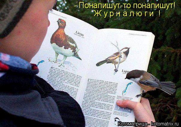 Котоматрица: - Понапишут-то понапишут! Ж у р н а л ю г и  !