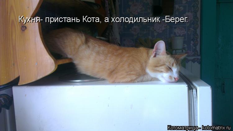 Кухня- пристань Кота, а холодильник -Берег.... Котоматрица: Кухня- пристань Кота, а холодильник -Берег.