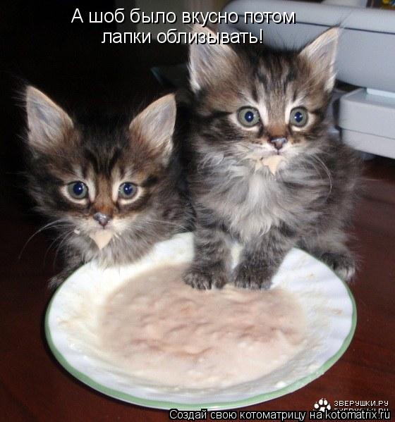 Котоматрица: А шоб было вкусно потом лапки облизывать!