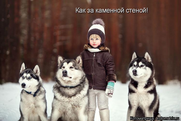 Котоматрица: Как за каменной стеной!
