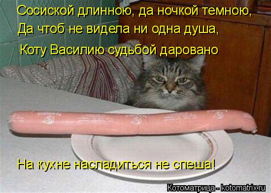 Котоматрица: Сосиской длинною, да ночкой темною, Да чтоб не видела ни одна душа, Коту Василию судьбой даровано На кухне насладиться не спеша!